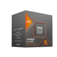 AMD Ryzen 5 8600G